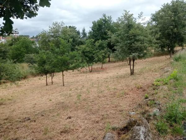 Terreno en San Cibrao das Viñas