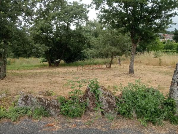 Terreno en San Cibrao das Viñas