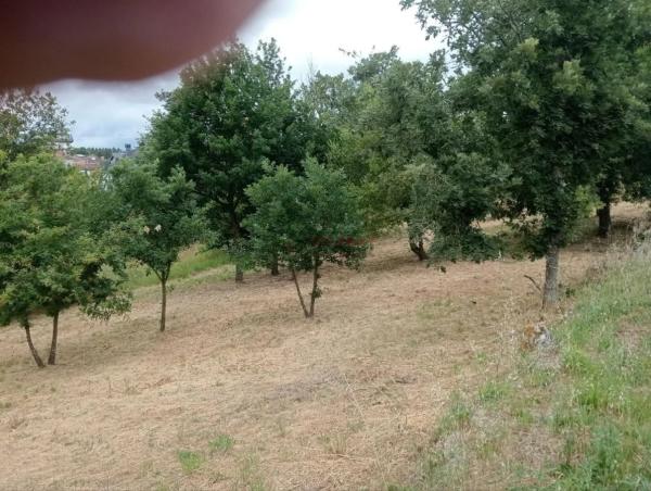 Terreno en San Cibrao das Viñas