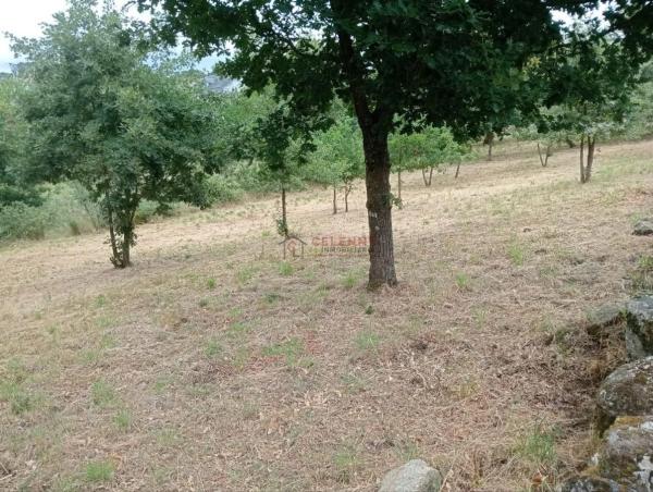 Terreno en San Cibrao das Viñas