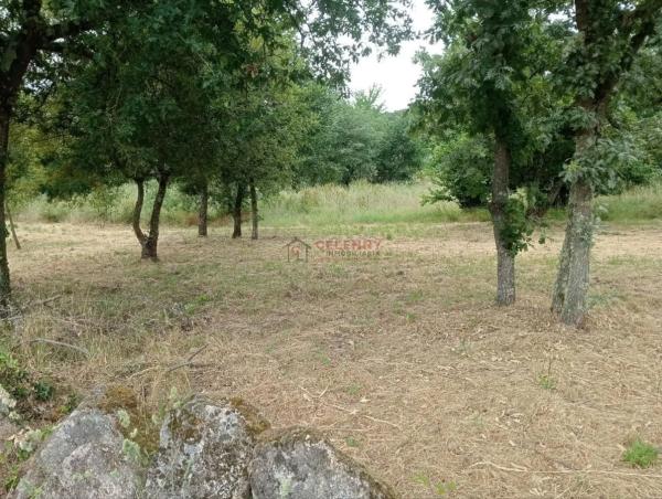 Terreno en San Cibrao das Viñas