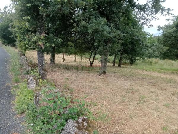 Terreno en San Cibrao das Viñas
