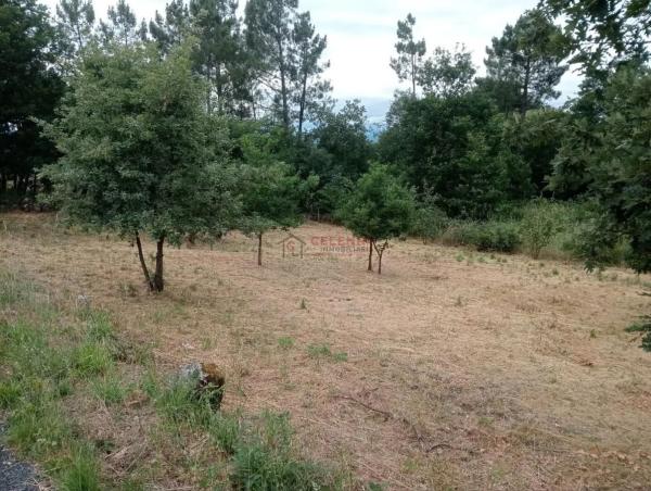 Terreno en San Cibrao das Viñas
