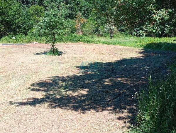 Terreno en Pereiro de Aguiar