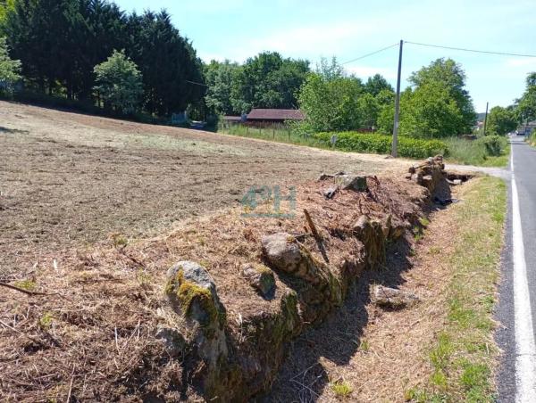 Terreno en Pereiro de Aguiar