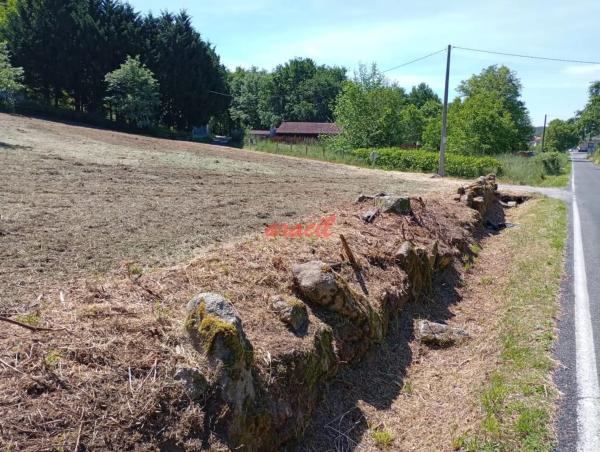 Terreno en Pereiro de Aguiar