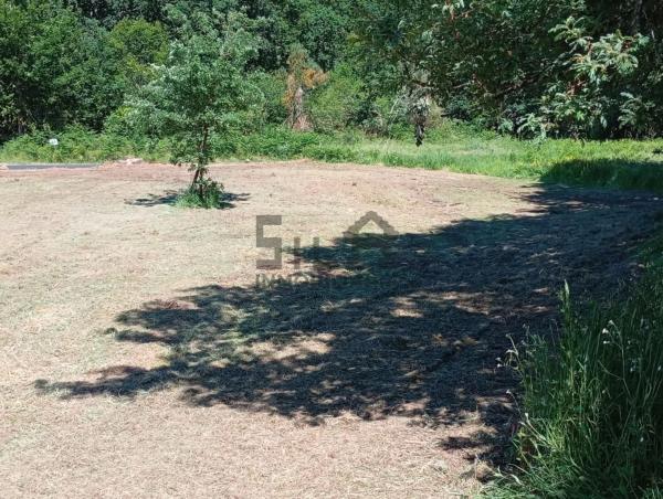 Terreno en Pereiro de Aguiar