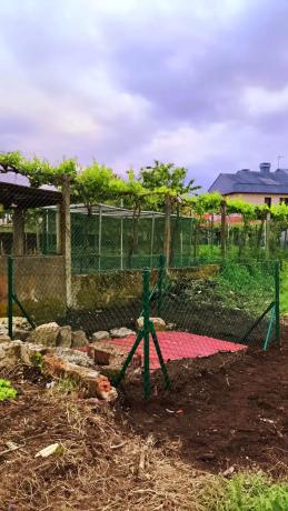 Terreno en camino da Infesta, 13