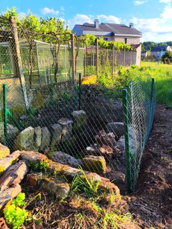 Terreno en camino da Infesta, 13