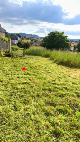 Terreno en camino da Infesta, 13