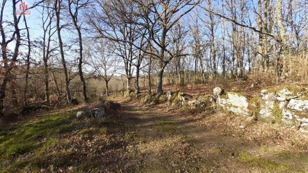 Terreno en Pereiro de Aguiar