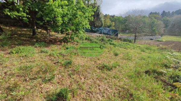 Terreno en Pereiro de Aguiar