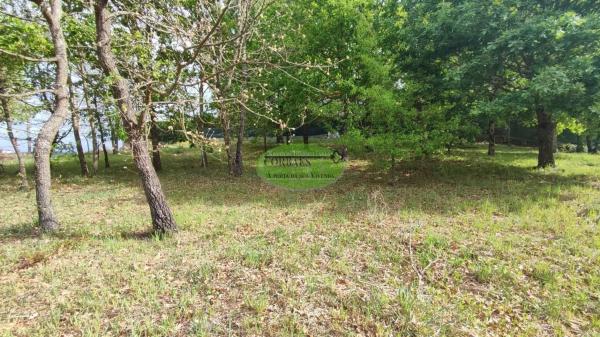 Terreno en Pereiro de Aguiar