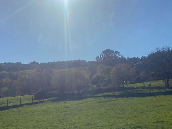 Terreno en camino Barra de Miño, 1