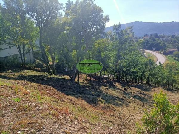 Terreno en Vilar de Astrés - Palmés - Arrabaldo