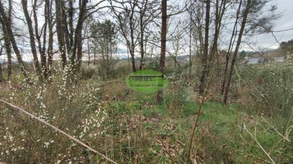 Terreno en Toén