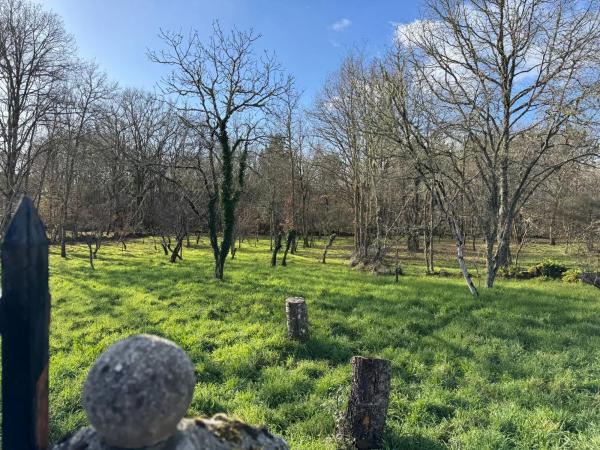 Terreno en Currás s/n