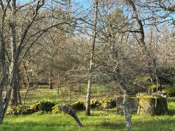 Terreno en Currás s/n