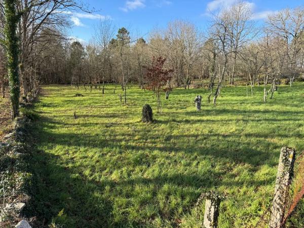 Terreno en Currás s/n