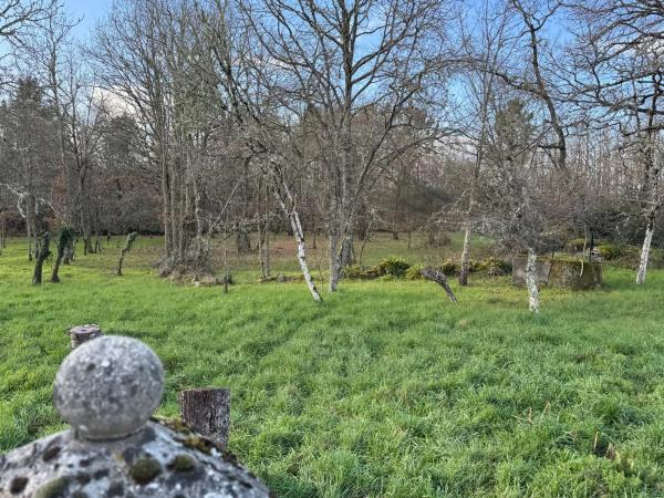 Terreno en Currás s/n