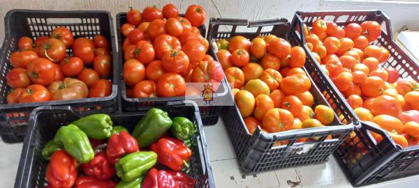 Terreno en calle Malladoiros