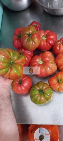 Terreno en calle Malladoiros