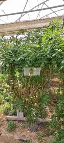 Terreno en calle Malladoiros