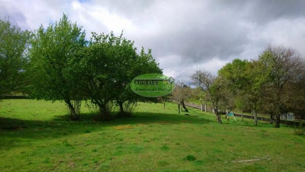 Terreno en Vilamarin