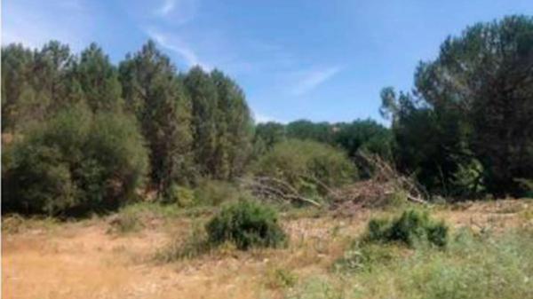 Terreno en carretera Ourense s/n None