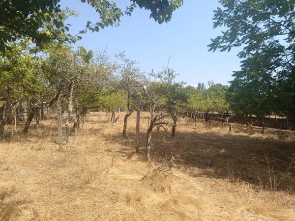 Terreno en Lugar Boimorto