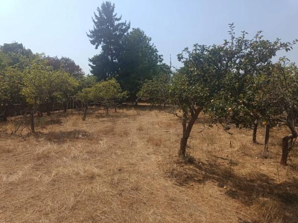 Terreno en Lugar Boimorto