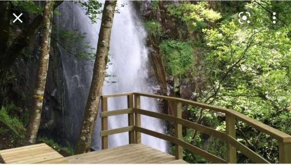 Terreno en calle Cachamuiña