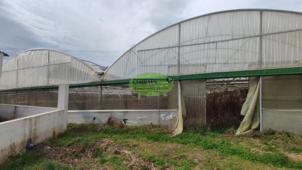 Terreno en Vilamarin