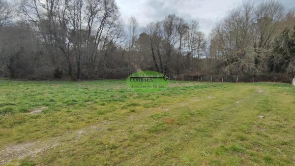 Terreno en Vilamarin