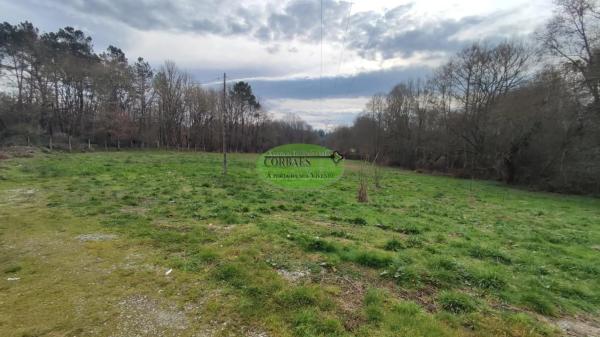 Terreno en Vilamarin