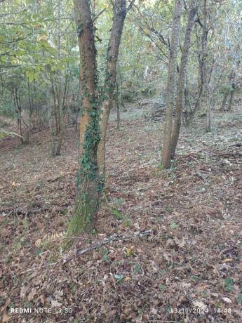 Terreno en Ou-402, km 0