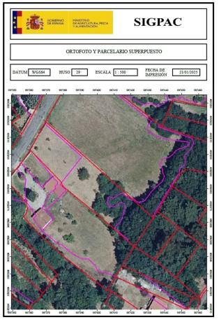 Terreno en Lugar Figueiras, 14