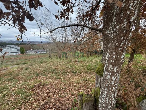 Terreno en Pereiro de Aguiar