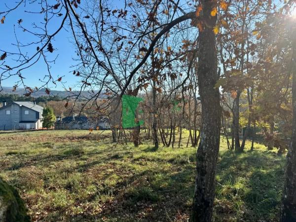 Terreno en Pereiro de Aguiar