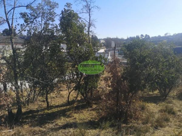 Terreno en Barrocanes