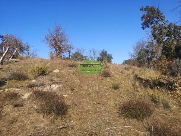 Terreno en Barrocanes