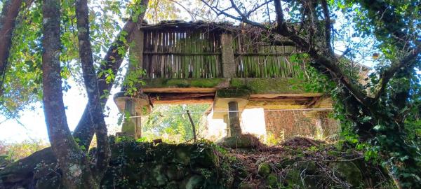 Terreno en Vilamarin