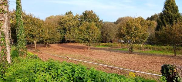 Terreno en Vilamarin
