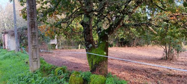 Terreno en Vilamarin