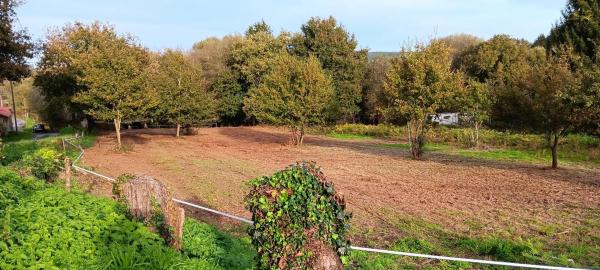 Terreno en Vilamarin