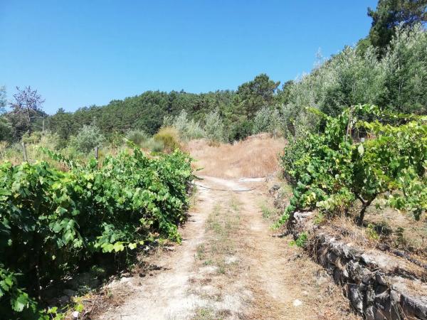 Terreno en calle Tarascon, 121