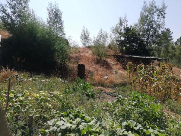 Terreno en calle Tarascon, 121