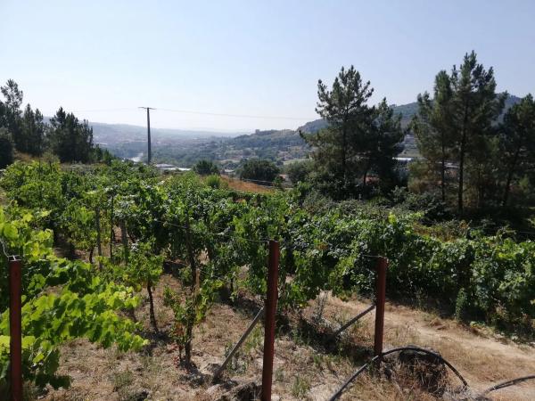 Terreno en calle Tarascon, 121