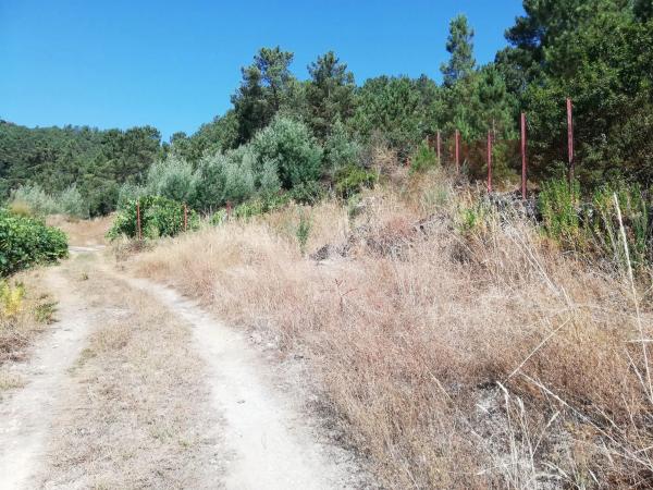 Terreno en calle Tarascon, 121
