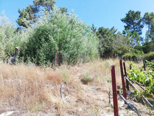 Terreno en calle Tarascon, 121